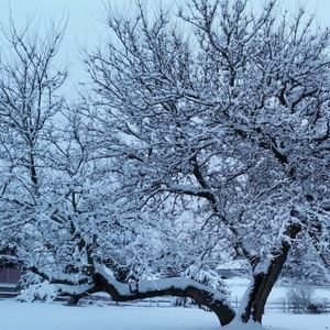 Meet your Posher, Carlos